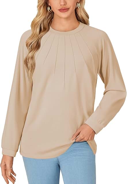 Women's Long Sleeve Dressy Casual Blouse