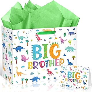 Big Brother Gift Bag with Tissue and Card