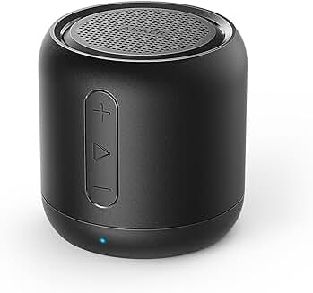 Mini Bluetooth Speaker with FM Radio and 15-Hour Playtime
