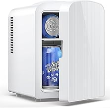 Small Portable Mini Fridge for Food and Drinks