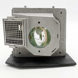 Projector Replacement Lamp for HD and HD8000 Series