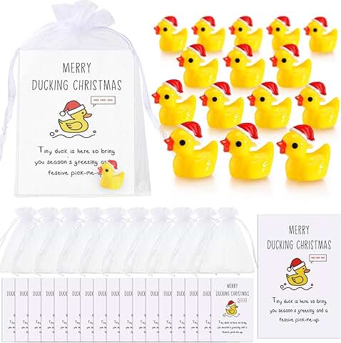 24 Christmas Inspirational Gift Sets with Ducks and Cards