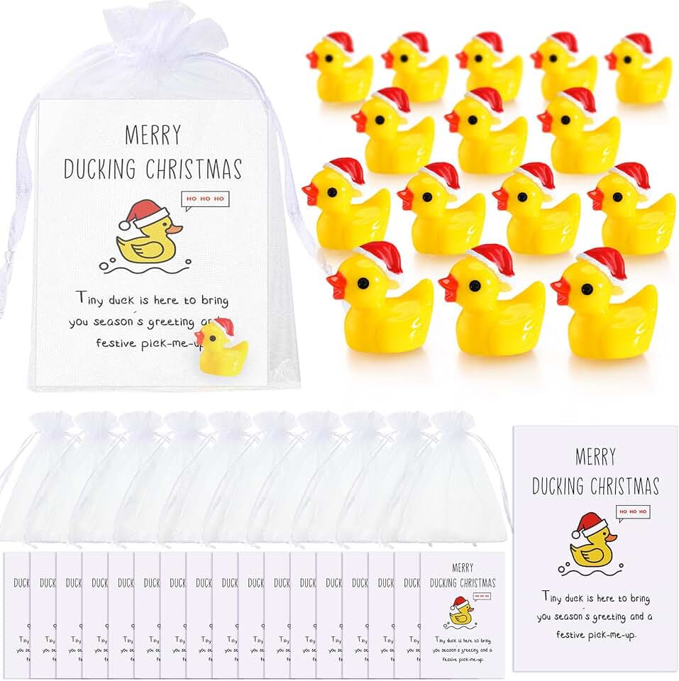 24 Christmas Inspirational Gift Sets with Ducks and Cards