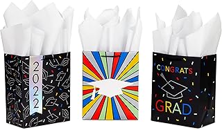 9-inch medium graduation gift bags with tissue paper