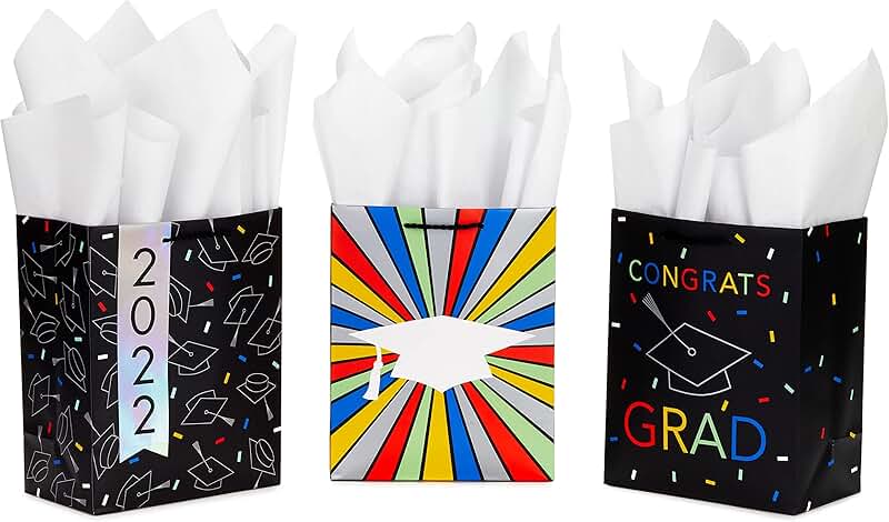 9-inch medium graduation gift bags with tissue paper