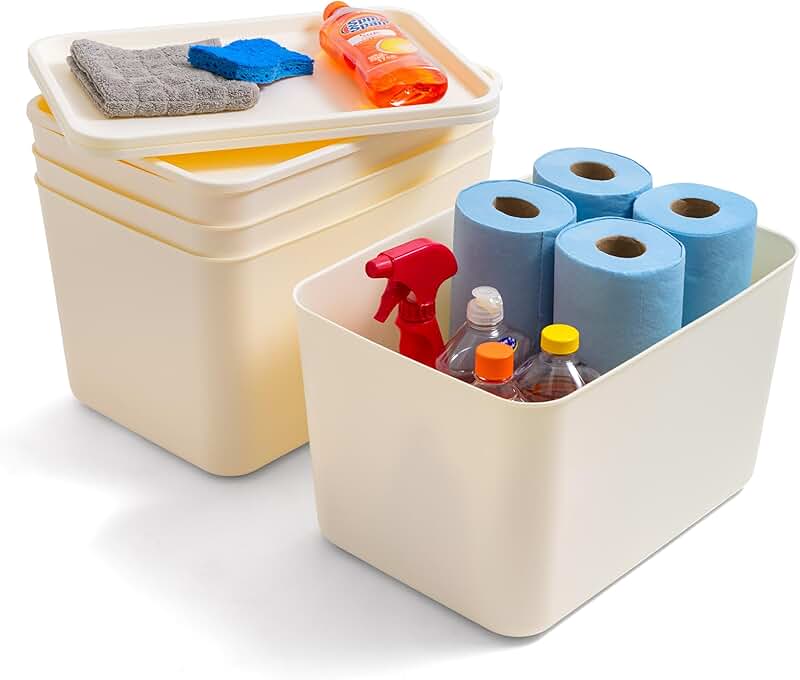 Set of 4 Large Plastic Storage Bins with Lids