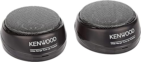 Tweeter speaker for car audio