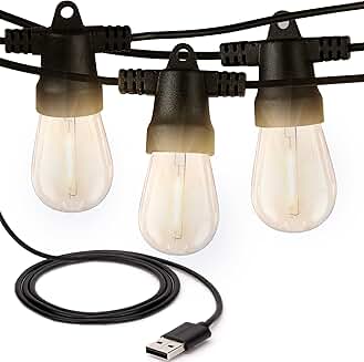 24 Ft Waterproof Outdoor String Lights with 12 Bulbs