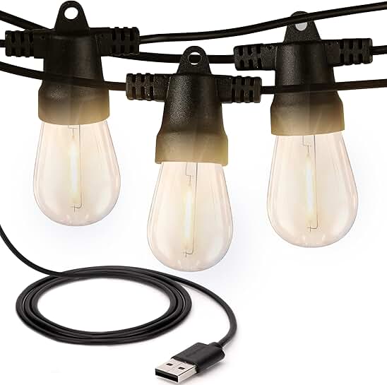24 Ft Waterproof Outdoor String Lights with 12 Bulbs