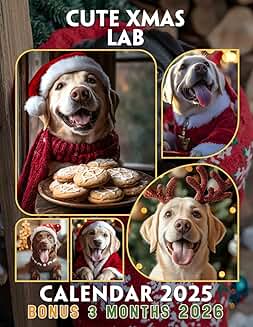 Festive Labrador Joy for a Year of Holiday Vibes