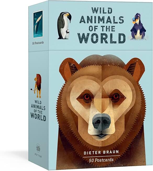 Wild Animals of the World: 50 Postcards