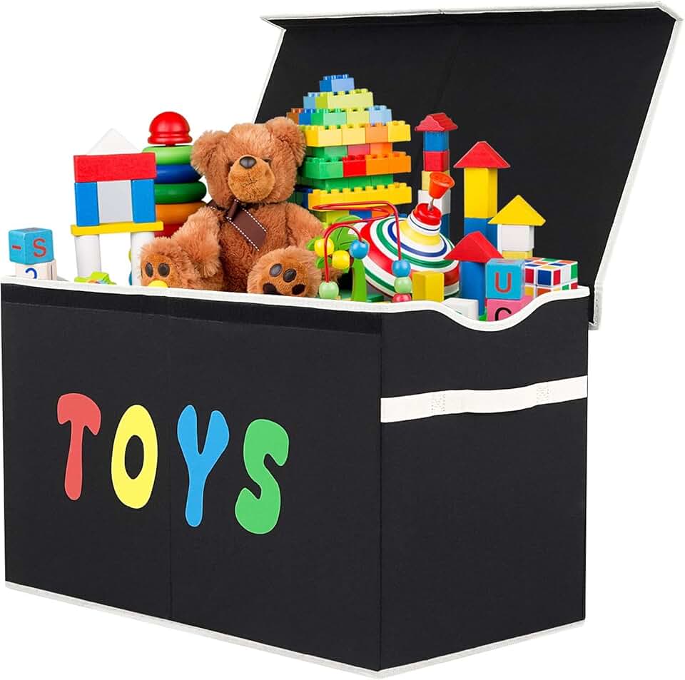 Large Collapsible Toy Storage Bin with Lid