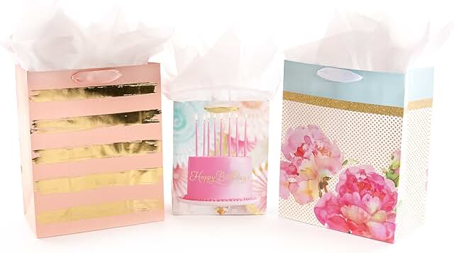 Assorted Birthday Gift Bags with Tissue Paper