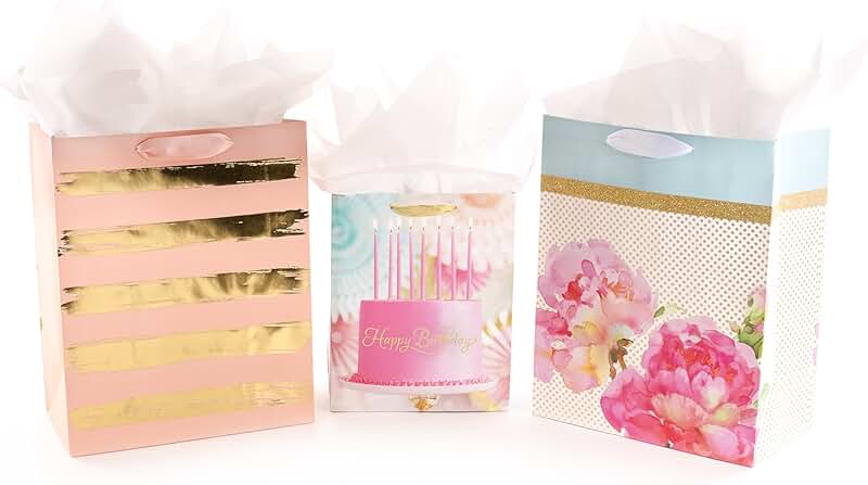Assorted Birthday Gift Bags with Tissue Paper