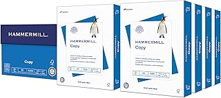 20 Lb Copy Paper, 8.5 x 11, 8 Reams, 4,000 Sheets