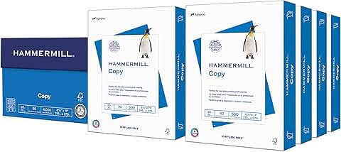 20 Lb Copy Paper, 8.5 x 11, 8 Reams, 4,000 Sheets
