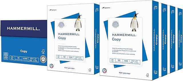 20 Lb Copy Paper, 8.5 x 11, 8 Reams, 4,000 Sheets