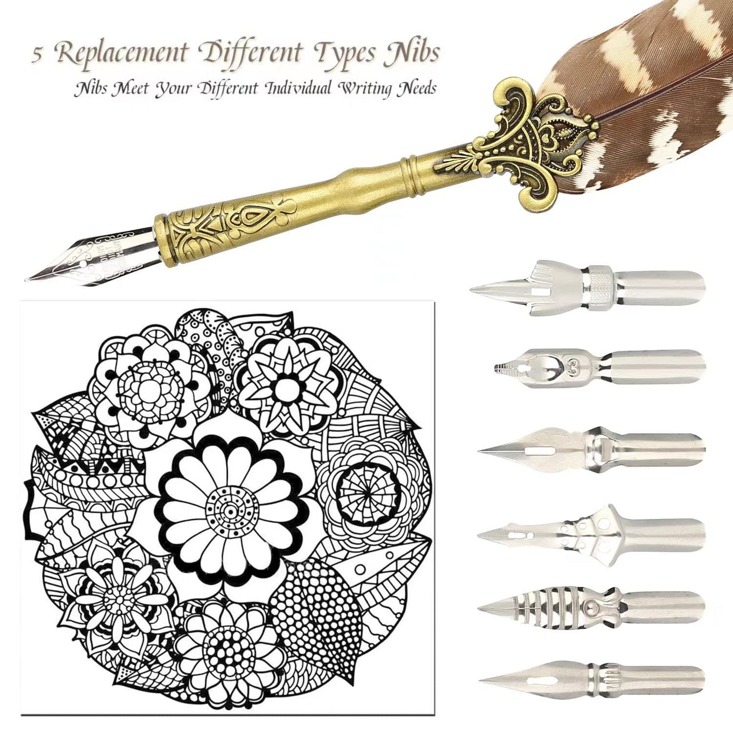 Pen and Ink Set with Nibs for Beginners