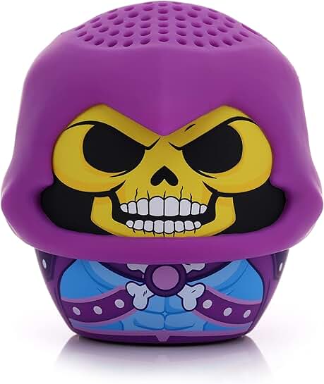 Mini Bluetooth Speaker with Skeletor Design
