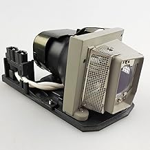 Projector Lamp Bulb with Housing for X20 and X21