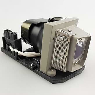 Projector Lamp Bulb with Housing for X20 and X21