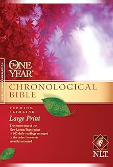 One Year Chronological Bible Large Print Softcover
