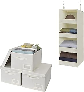 Walk-in Closet Organizer and Storage Bins Bundle