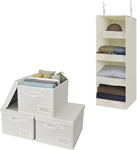 Walk-in Closet Organizer and Storage Bins Bundle