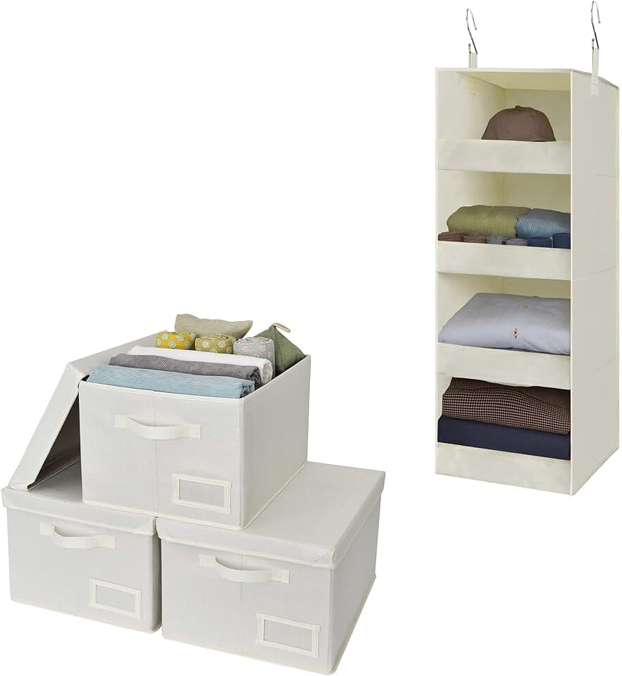 Walk-in Closet Organizer and Storage Bins Bundle