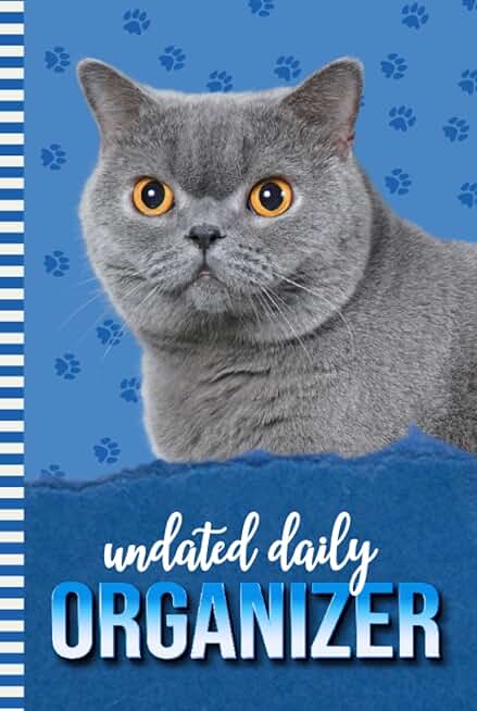 Blue paw print bone pattern daily organizer