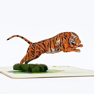 Tiger Pop Up Card with Envelope and Illustrations