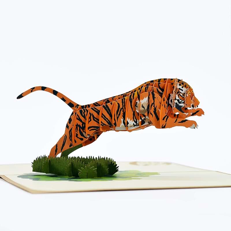 Tiger Pop Up Card with Envelope and Illustrations