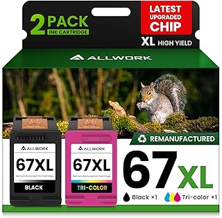 Black and color ink cartridge replacement for HP printers (2-pack)