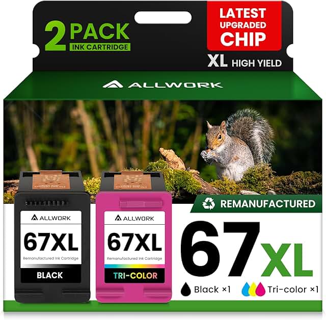 Black and color ink cartridge replacement for HP printers (2-pack)