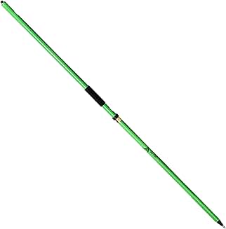 Two-Piece 2 m GPS Rover Rod in Green