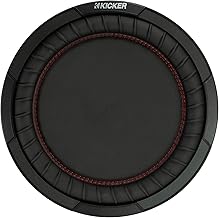 10-inch Passive Radiator