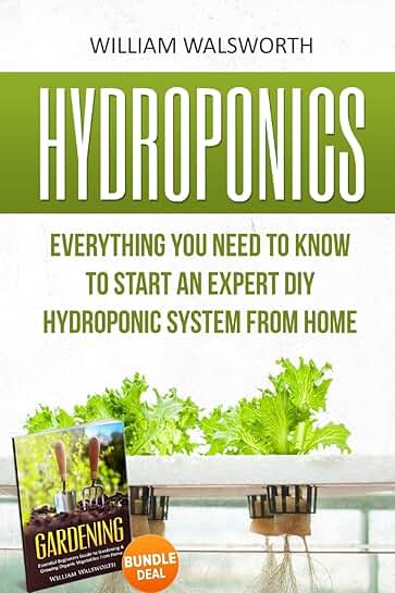 Guide to Starting a DIY Hydroponic System at Home