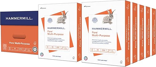 Multipurpose 20 lb Copy Paper, 8.5 x 11, 10 Reams