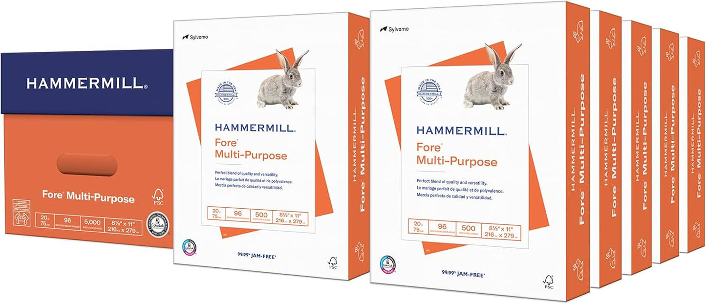 Multipurpose 20 lb Copy Paper, 8.5 x 11, 10 Reams