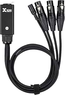Personal in-ear monitor amplifier for stage and recording