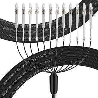 12-Core OM3 LC to LC Outdoor Armored Fiber Cable, 10m