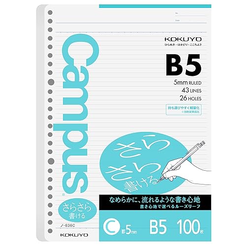 B5 Loose Leaf Paper, 100 Sheets, 75 GSM, 26 Holes