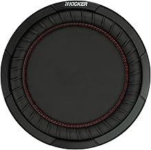 12-inch Passive Radiator