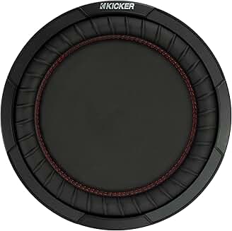 12-inch Passive Radiator