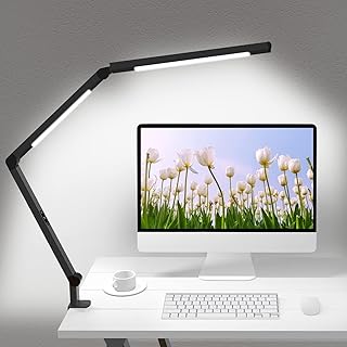 Adjustable LED Desk Lamp with Clamp and Multiple Light Modes