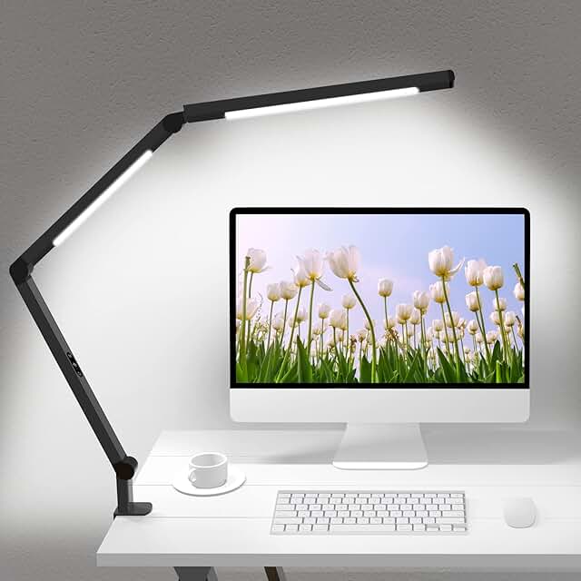 Adjustable LED Desk Lamp with Clamp and Multiple Light Modes
