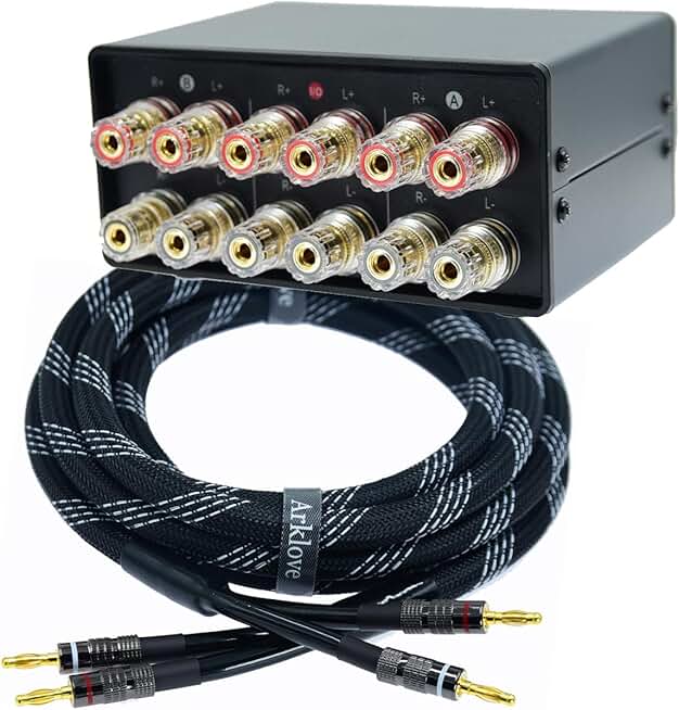 Audio Selector Switcher for Multiple Inputs and Outputs