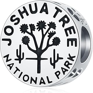 Joshua Tree National Park Silver Charm for Bracelets