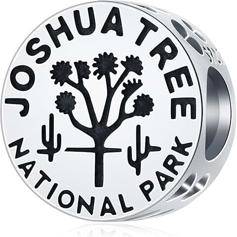 Joshua Tree National Park Silver Charm for Bracelets