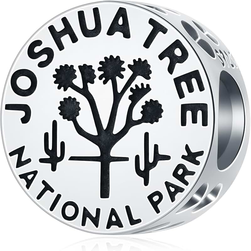 Joshua Tree National Park Silver Charm for Bracelets